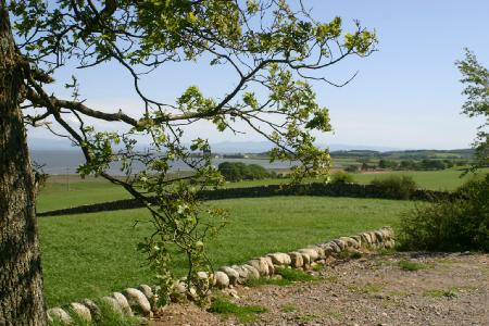 The Solway coast