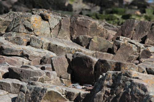 The shore at Southerness