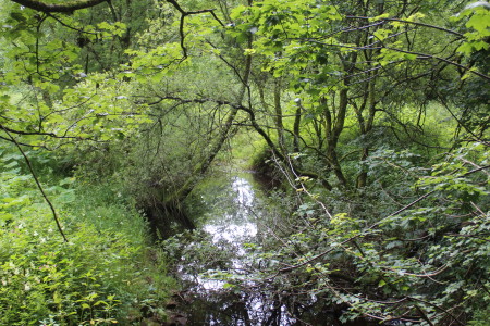 spedlins tower house