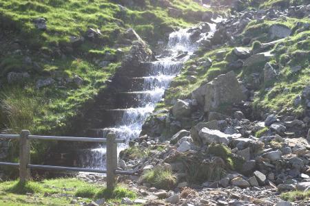 GreyMares Tail 