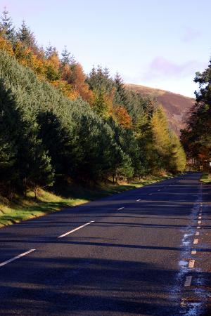 The road running beside St marys Loch
