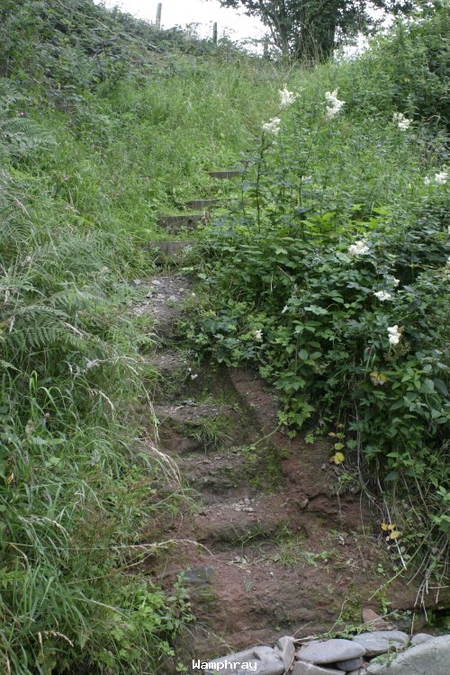 Path beside Wamphray water