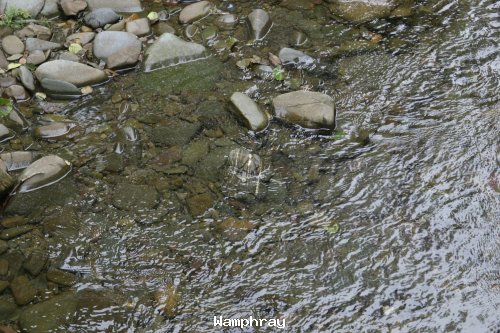 Wamphray water