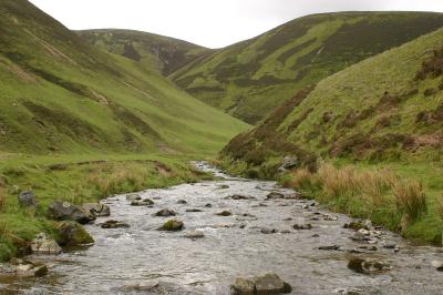 Stream thro Wanlockhea